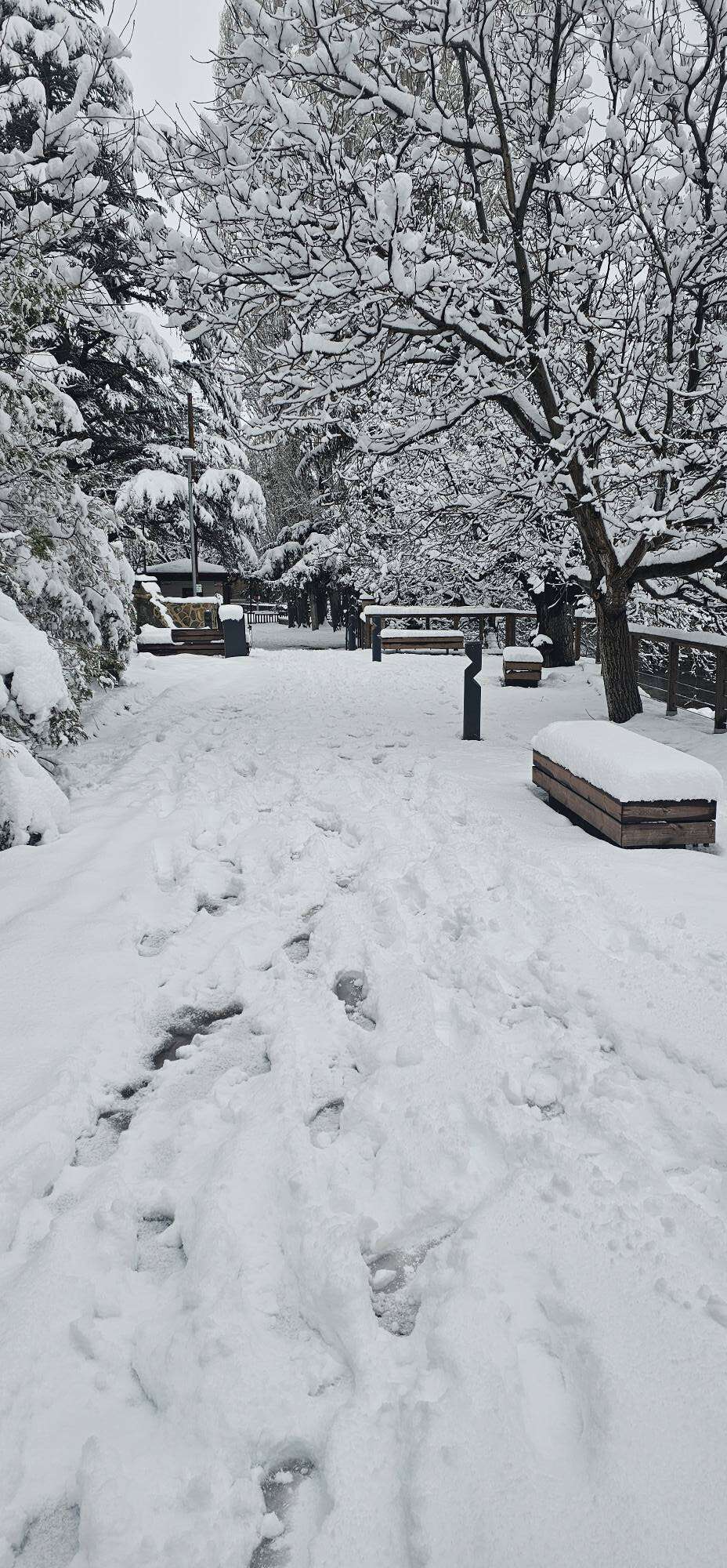 Konya’da kar kalınlığının 1 metreye yaklaştığı ilçe şölen sunuyor 39